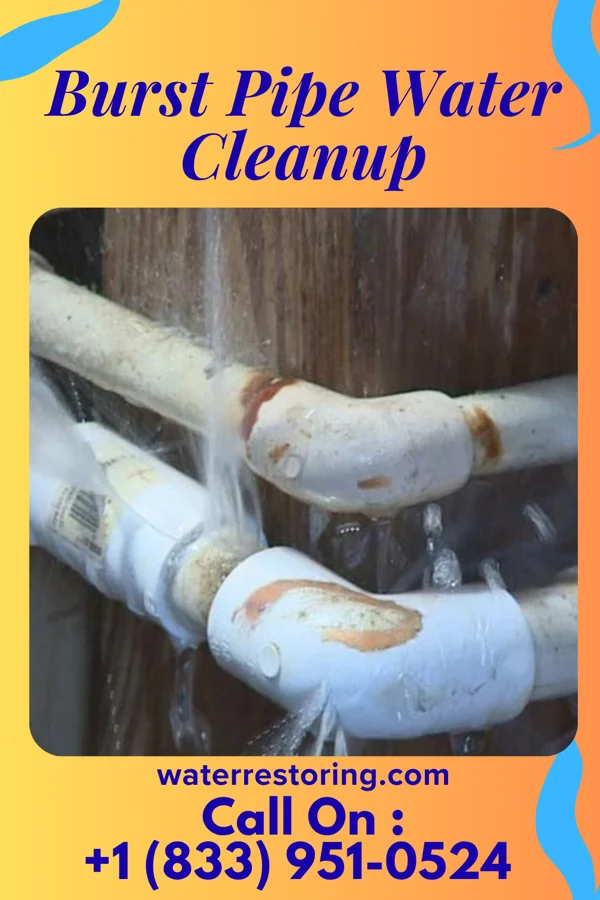 Burst Pipe Water Cleanup in Spencer, NC