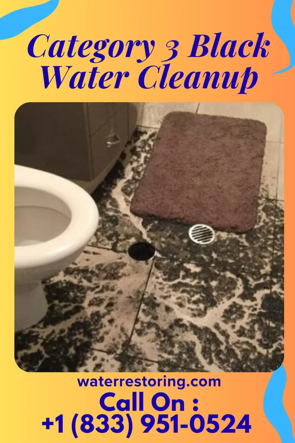 Category 3 Black Water Cleanup in Spencer, NC