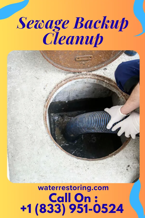 Sewage Backup Cleanup in Spencer, NC